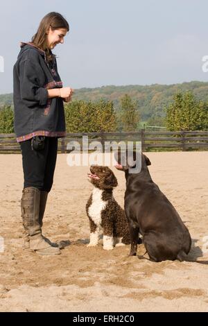 Frau mit Hunde Stockfoto