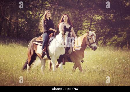 Reiter und Pferde Stockfoto