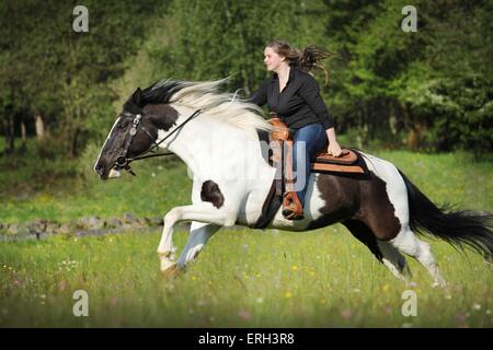 Frau reitet Pinto-Hunter Stockfoto