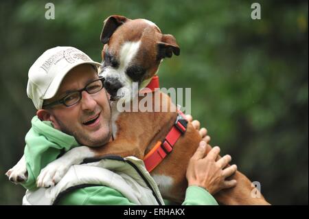 Mann und deutscher Boxer Stockfoto