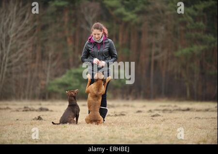 Frau mit Hunde Stockfoto