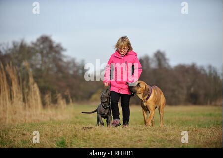 Kind und 2 Cane Corsos Stockfoto