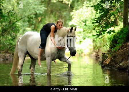 Frau reitet Lipizzaner-Pferde-Kreuz Stockfoto