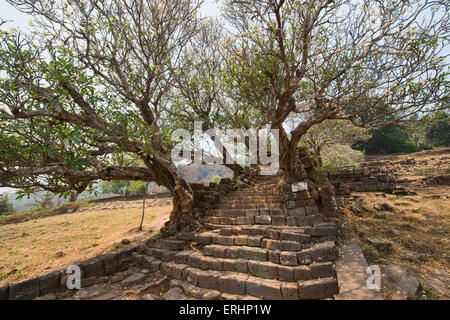 Atmosphärischen Ruinen von Vat Phou (Wat Phu) in Champasak, Laos Stockfoto