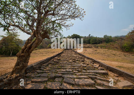 Atmosphärischen Ruinen von Vat Phou (Wat Phu) in Champasak, Laos Stockfoto