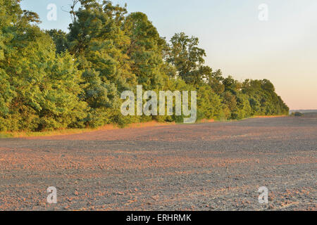 Sonnenuntergang auf dem Gebiet Stockfoto