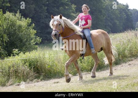 Mädchen und Haflinger-Pferd Stockfoto