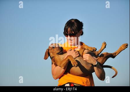 Frau und Rhodesian Ridgeback Stockfoto