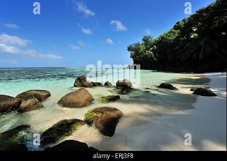 Anse Forbans, Strand auf der Insel Mahe, Seychellen Stockfoto