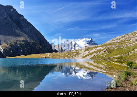 Lac du Goleon mit der Reflexion von Berg La Meije und seine Gletscher, Alpen, Frankreich Stockfoto