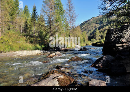 Flusslandschaft im Tal der Clarée, Brianconnais, Frankreich, Französische Alpen Stockfoto