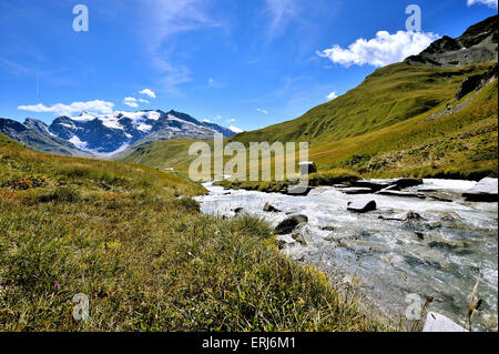 Tal La Lenta, Landschaft des Nationalparks Vanoise, mit Fluss und die Berge von Albaron, Französische Alpen, Frankreich Stockfoto