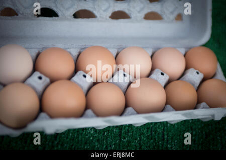 Karton mit Bio-Eiern auf einem Bauernmarkt Stockfoto