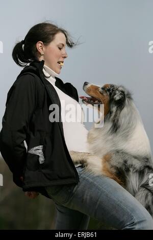 Dogdance mit Australian Shepherd Stockfoto