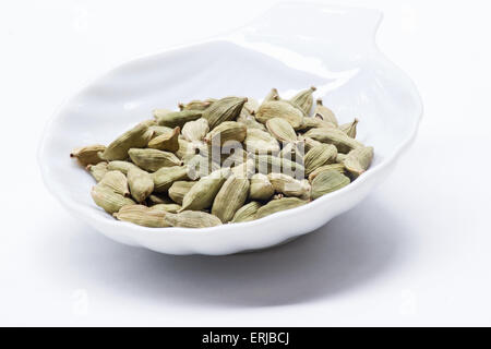 Grüner Kardamom (Elettaria Cardamomum) Hülsen auf weißem Hintergrund Stockfoto