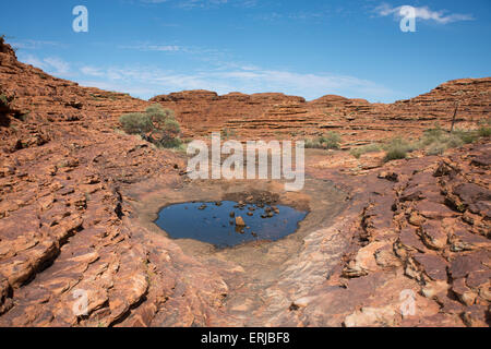 Australien, NT, Watarrka National Park. Kings Canyon, Rim Walk. Entfernten Wasserloch. Stockfoto