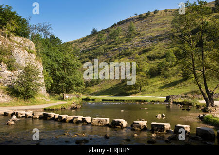 Großbritannien, England, Derbyshire, Dovedale, Fluss Dove, stepping stone Kreuzung im Sommer Stockfoto