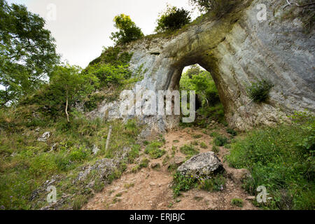 Großbritannien, England, Derbyshire, Dovedale, Reynards Höhle, Eingang zum alten eingestürzten Höhle Stockfoto