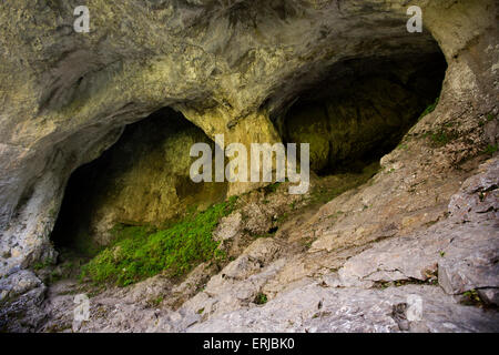 Großbritannien, England, Derbyshire, Dovedale, Taube Löcher Höhleneingang, geschaffen durch die Erosion der unterirdische Fluss Stockfoto