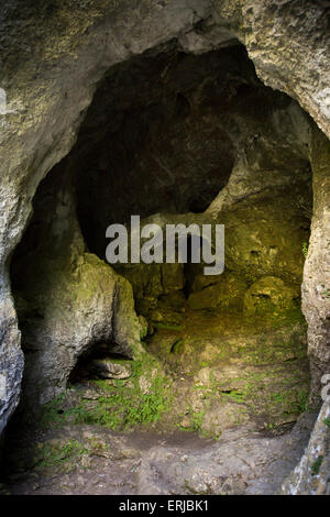 Großbritannien, England, Derbyshire, Dovedale, Taube Löcher Höhleneingang, geschaffen durch die Erosion der unterirdische Fluss Stockfoto