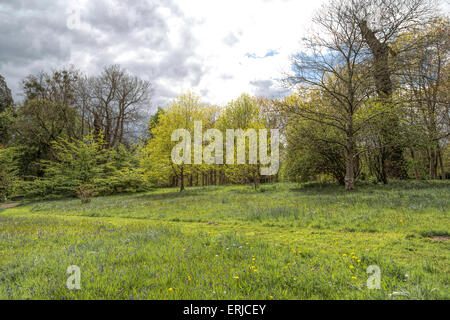 Üppiger Vegetation im Frühjahr in Petworth House und Park, angelegt von Capability Brown in West Sussex, England, Vereinigtes Königreich. Stockfoto