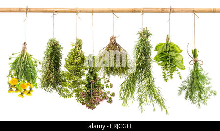 Frische Kräuter isoliert auf weißem Hintergrund. Hängenden Trauben von Dill, Basilikum, Rosmarin, Thymian, Oregano, Majoran, Löwenzahn. Stockfoto