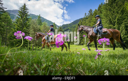 Mittenwald, Deutschland. 3. Juni 2015. Zwei Polizisten mit der föderalen Polizei Reiten Mannschaft fahren an der deutsch-österreichischen Grenze bei Mittenwald, Deutschland, 3. Juni 2015. Staats-und Regierungschefs der G7-Länder kommen zu ihrem Gipfeltreffen von 07 bis 8. Juni 2015 in Schloss Elmau zusammen. Foto: PETER KNEFFEL/Dpa/Alamy Live News Stockfoto