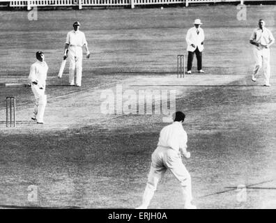 England-Tour von Australien für die Asche. Australien V England erste Testspiel in Brisbane. England-Schlagmann Hammond ist für vierundvierzig nach von Bob Woodfull aus Bowler Jack Gregory gefangen. England gewann durch einen Datensatz 675 läuft. November 1928. Stockfoto