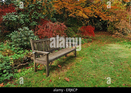 Einzelne Holzbank in einem herbstlichen Park mit bunten Bäumen überall Stockfoto