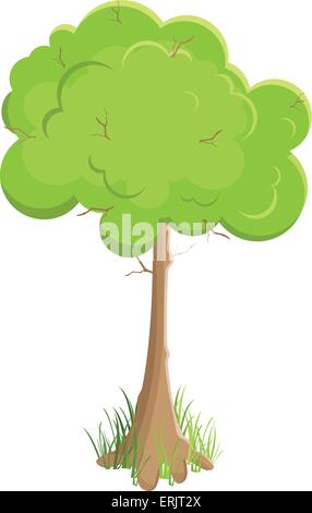 Grüner Baum. Vektor-Illustration. Isoliert auf weißem Hintergrund Stock Vektor
