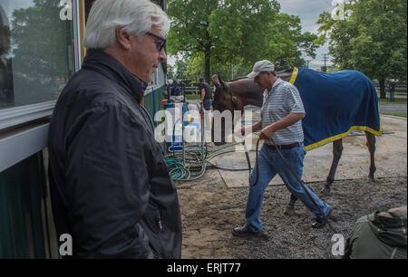 Elmont, New York, USA. 3. Juni 2015. Trainer BOB BAFFERT mit Belmont Stakes und Triple Crown hoffnungsvollen AMERICAN PHAROAH Belmont Park, Mittwoch, 3. Juni 2015. Bildnachweis: Bryan Smith/ZUMA Draht/Alamy Live-Nachrichten Stockfoto