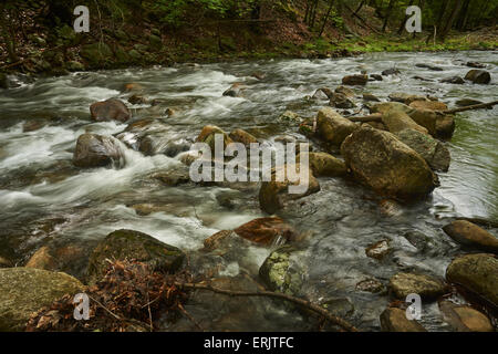 Stony Brook, Harriaman State Park, Sloatsburg, New York, USA Stockfoto