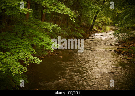 Stony Brook, Harriaman State Park, Sloatsburg, New York, USA Stockfoto