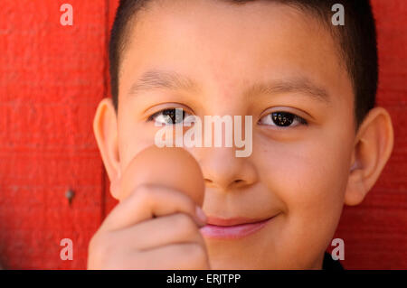 Manzo Grundschule 4. Klasse Schüler sammeln Eiern von Hühnern in der Schule Bio-Garten, Tucson, Arizona, USA. Stockfoto