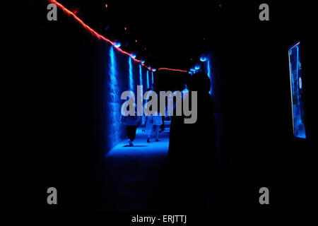 Jerusalem, Israel. 3. Juni 2015. "Übergänge" von Kobi Rosenthal Israels, beleuchtet einen Pfad in der Nähe von Dormition Abbey. Das Jerusalem-Licht-Festival eröffnet in der Altstadt. Bildhauer und Designer aus der ganzen Welt nehmen Teil an dem Festival verwandeln die Altstadt in eine riesige Ausstellung von Bild und Ton. Bildnachweis: Nir Alon/Alamy Live-Nachrichten Stockfoto