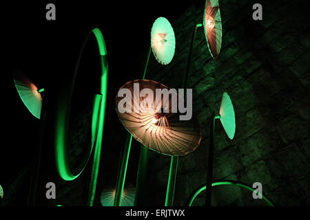 Jerusalem, Israel. 3. Juni 2015. "Blühende Wiese" TILT, Frankreich, erscheint neben dem Jaffa-Tor. Das Jerusalem-Licht-Festival eröffnet in der Altstadt. Bildhauer und Designer aus der ganzen Welt nehmen Teil an dem Festival verwandeln die Altstadt in eine riesige Ausstellung von Bild und Ton. Bildnachweis: Nir Alon/Alamy Live-Nachrichten Stockfoto