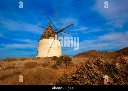 Almeria Molino de Los Genoveses Windmühle traditionell in Spanien Cabo de Gata Stockfoto