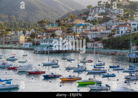 Avalon-Hafen auf Catalina Island, im Abendlicht. Stockfoto