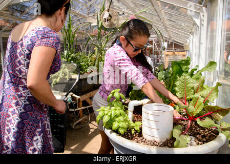 Manzo Grundschüler arbeiten mit ein Universität von Arizona-Intern in der Schule Bio-Garten, Tucson, Arizona, USA. Stockfoto