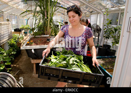 Manzo Grundschüler arbeiten mit ein Universität von Arizona-Intern in der Schule Bio-Garten, Tucson, Arizona, USA. Stockfoto