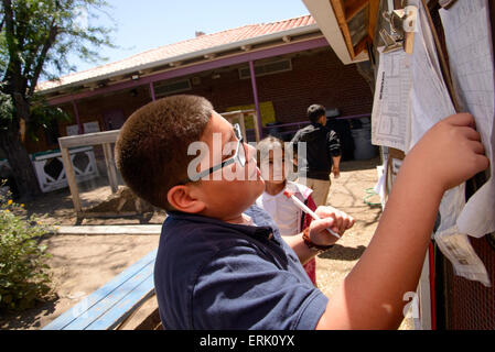 Manzo Grundschule 4. Klasse Schüler sammeln Eiern von Hühnern in der Schule Bio-Garten, Tucson, Arizona, USA. Stockfoto