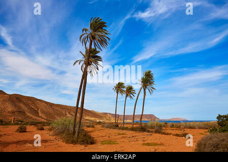 Almeria in Cabo de Gata Playazo Rodalquilar Strand am Mittelmeer Spanien Stockfoto