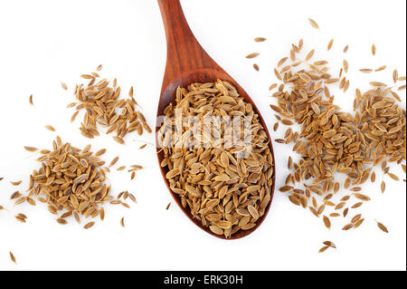 Dillsamen in Holzlöffel Stockfoto