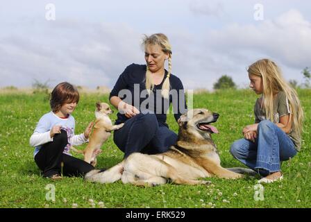 Familie mit Hunden Stockfoto