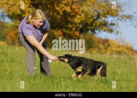 Hund spielen Stockfoto