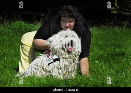 Puli sitzen Stockfoto