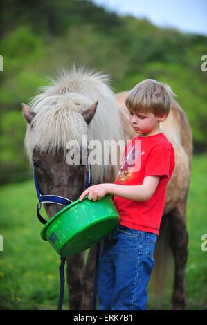 junge und Islandpferd Stockfoto