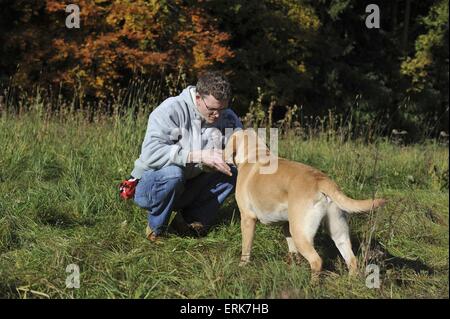 Mann und Labrador Retriever Stockfoto