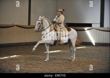 Christin Krischke Mit Lusitano Ulysses Stockfoto