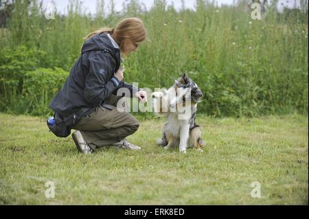 Frau mit Australian Shepherd Stockfoto